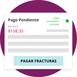 payment-img-es
