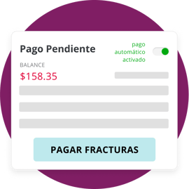 payment-img-es payment-img-es
